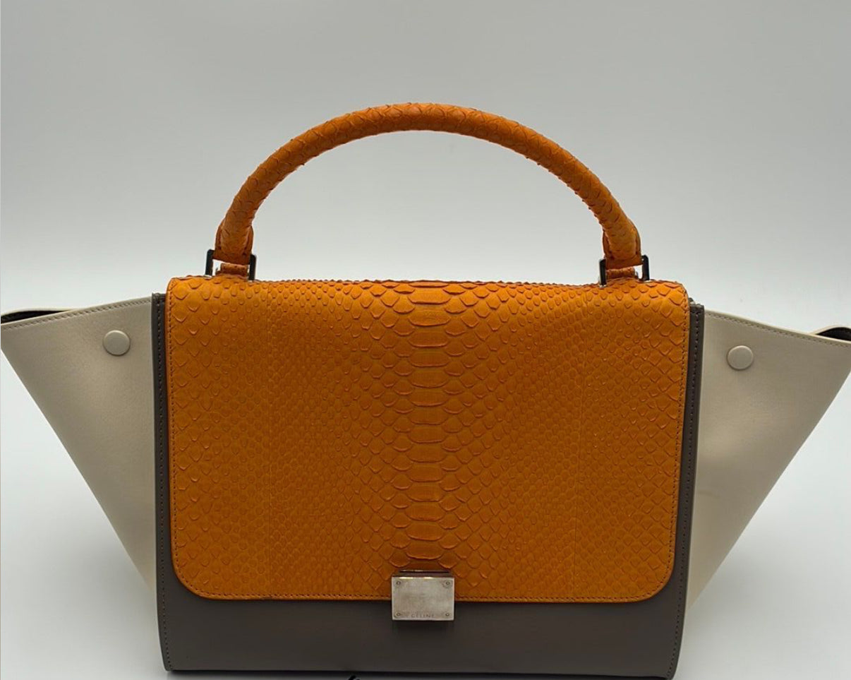 Celine Python Trapeze